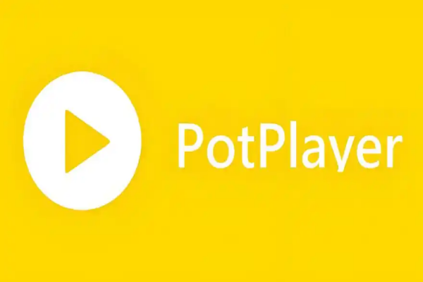 PotPlayer字幕设置与视频参数调节